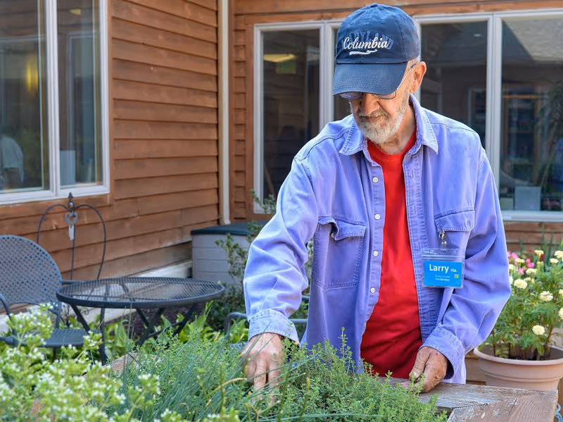 An elderly man wearing a blue Columbia cap, glasses, a purple jacket, and a red shirt is tending to plants in a garden area outside a wooden building. There is a round metal table and chairs nearby, and potted plants are visible in the background.