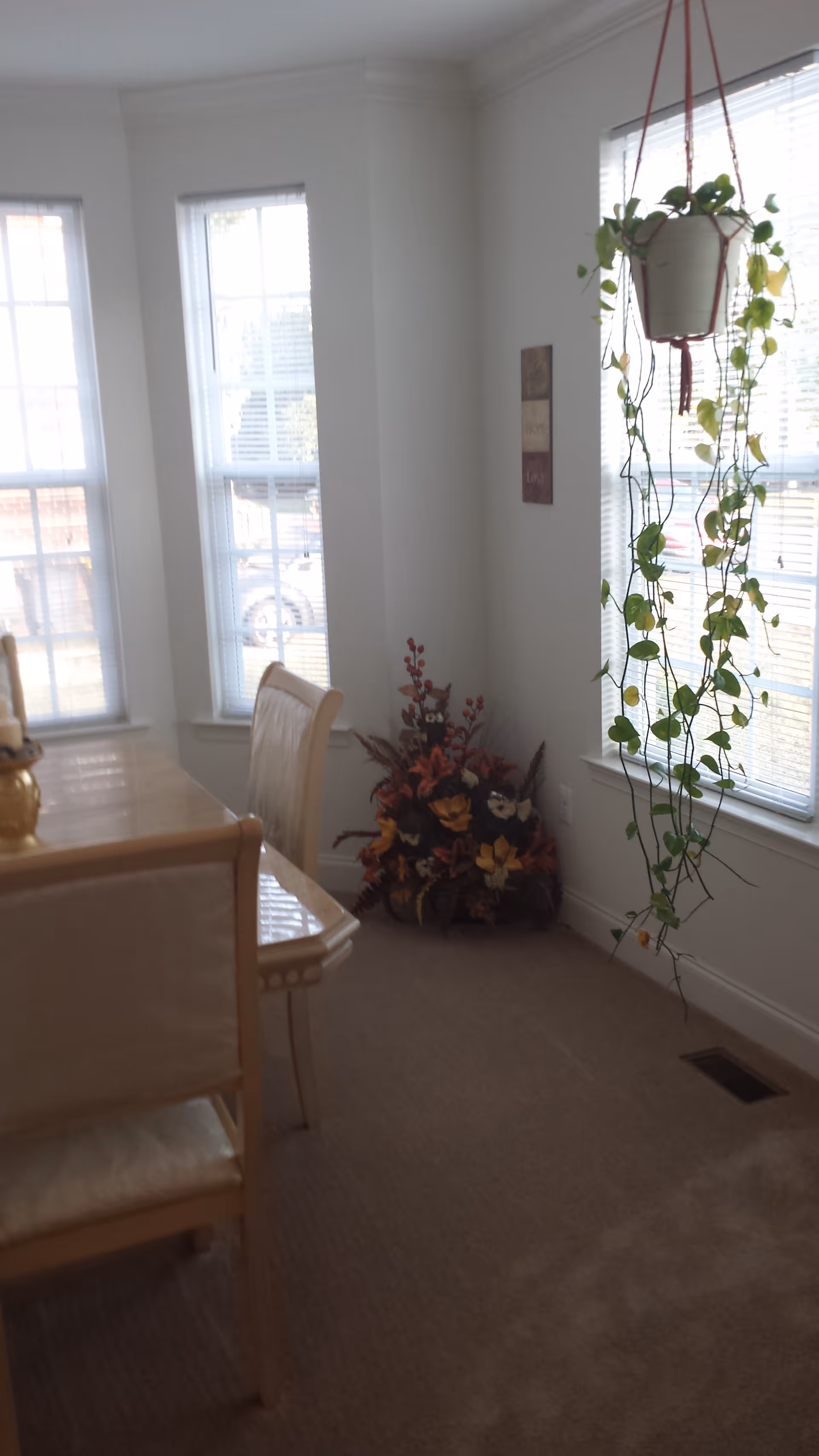 A bright dining area with a wooden dining table and cream-colored chairs. There are three tall windows with blinds letting in natural light. A hanging potted plant with trailing vines is near the right window, and a floral arrangement is placed in the corner. A small wall decoration is visible on the right wall.