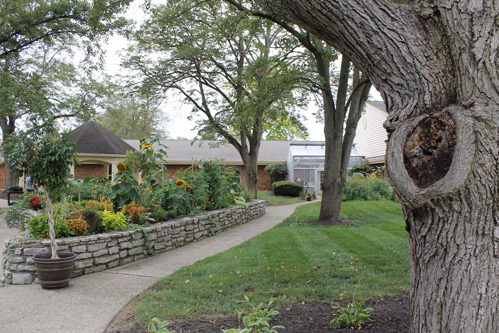 Outdoor garden area at Westover Retirement Community featuring a stone raised flower bed with sunflowers and other plants, a paved walkway, large trees, and a building with a covered porch and glass sunroom in the background.
