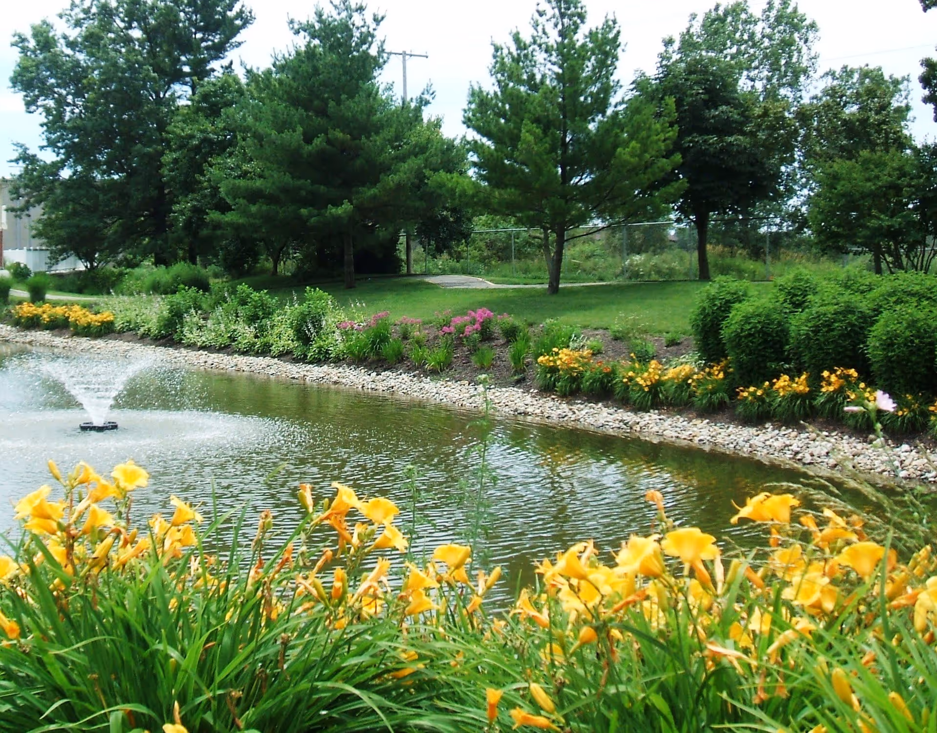 A landscaped outdoor area featuring a pond with a water fountain, surrounded by yellow flowers, green bushes, and trees under a clear sky.
