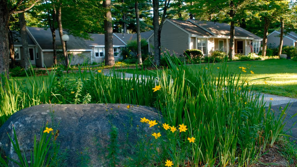 A peaceful outdoor scene at Havenwood Heritage Heights featuring a large rock surrounded by tall green grass and yellow flowers in the foreground, with several single-story residential buildings and trees in the background.