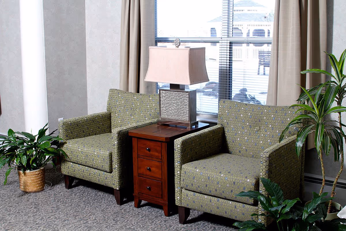 Two patterned armchairs flanking a wooden side table with a lamp in a bright seating area by a window and potted plants.