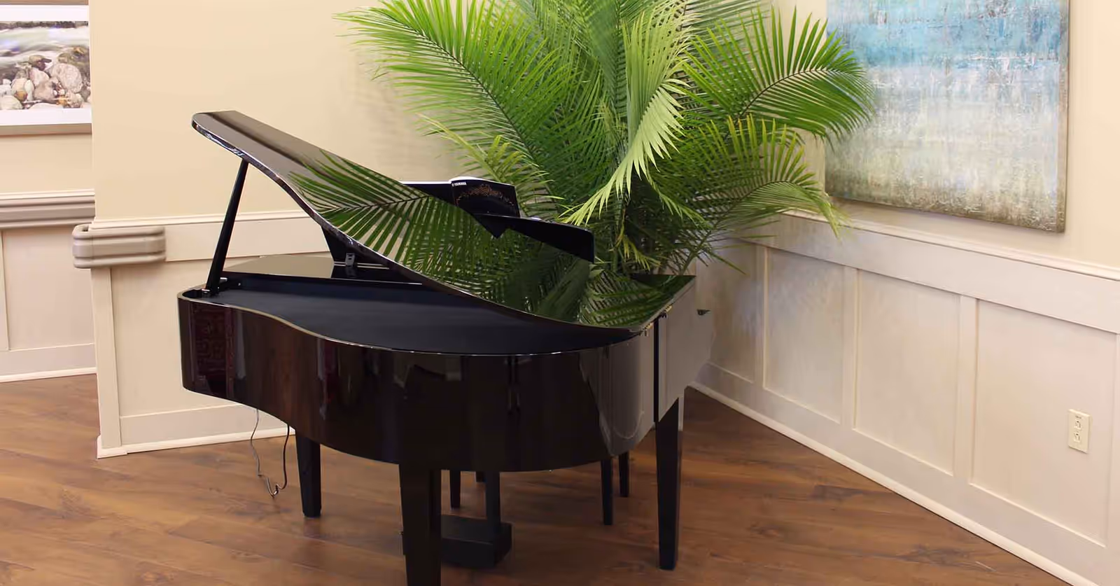 Black grand piano with its lid open, positioned beside a large potted palm and wall artwork in a light-colored interior.