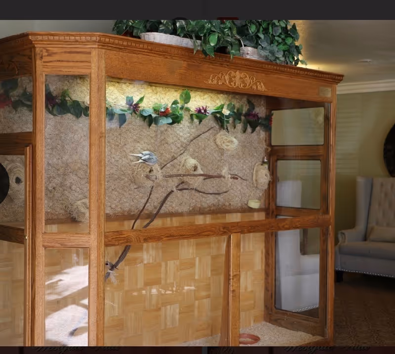 A wooden display case with glass panels containing a decorative arrangement of bird nests, branches, and artificial greenery. In the background, there is a beige armchair and a wall with soft lighting.