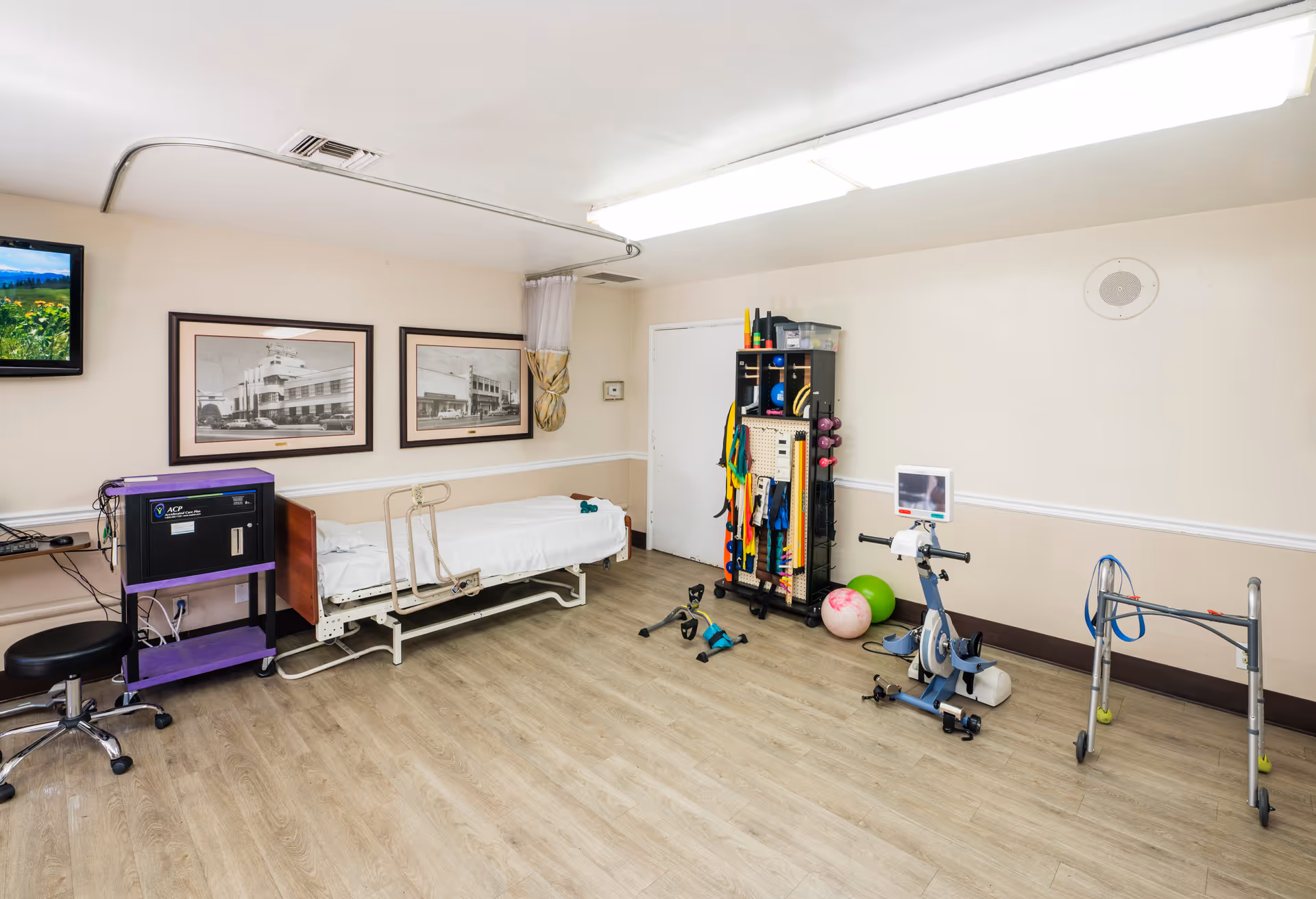 A rehab/therapy room with a hospital bed, exercise equipment, therapy supplies and a walker.