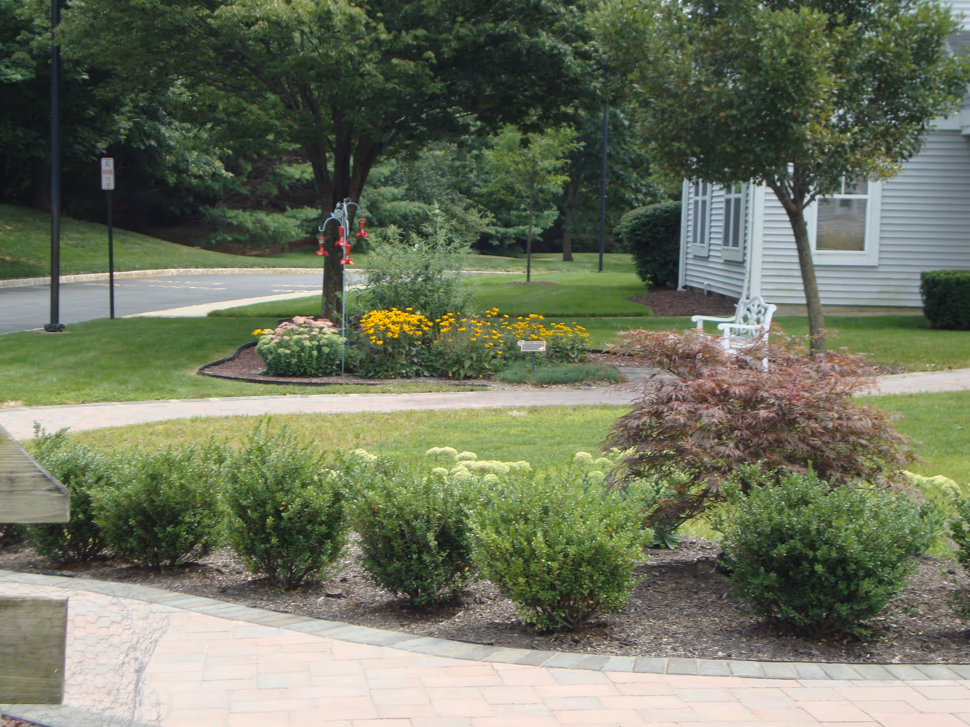 A landscaped outdoor garden area with green bushes, a small tree with reddish leaves, and a flower bed with yellow and pink flowers. There is a white bench near a tree and a paved walkway. A building with light gray siding and windows is visible on the right side. The background includes a road, more trees, and a no parking sign.