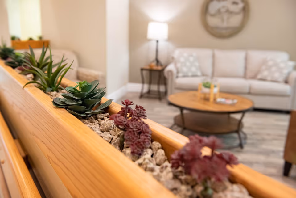 Close-up view of a wooden planter box filled with small rocks and various succulent plants, with a beige sofa, round wooden coffee table, side table with a lamp, and wall decor visible in the softly focused background of a living room.