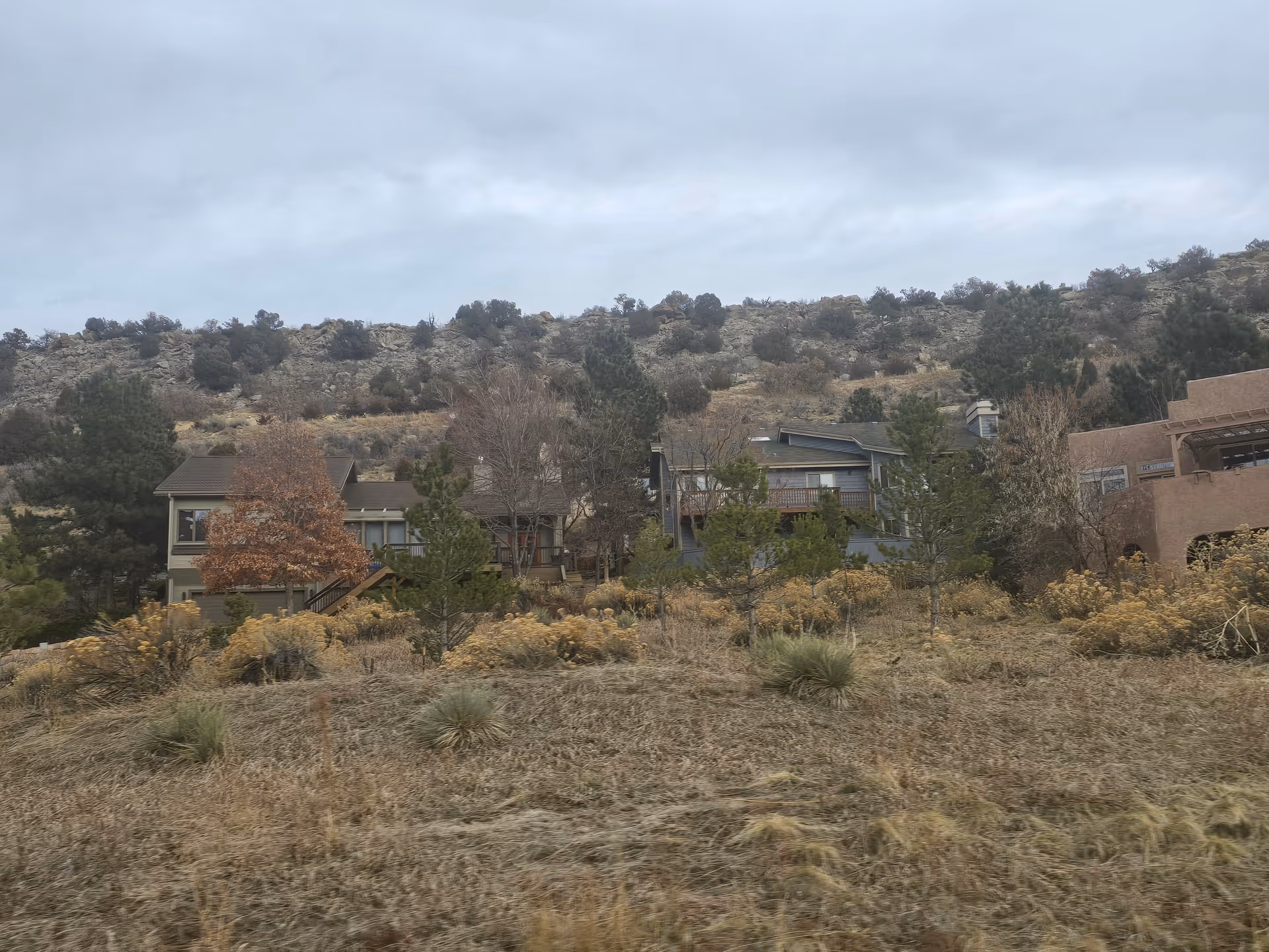 View of a hillside with several houses partially obscured by trees and dry grass under a cloudy sky.