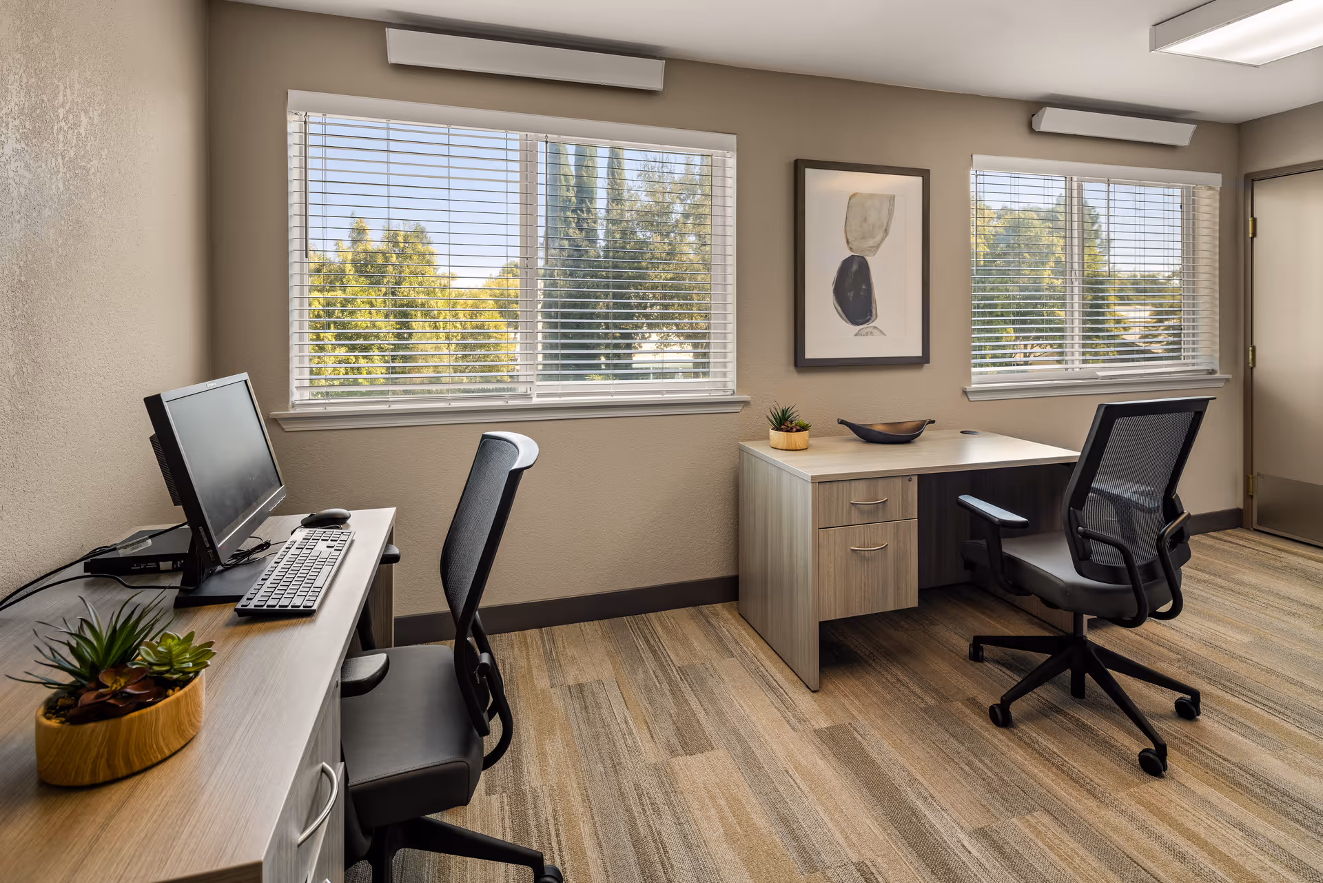 A bright office space with two desks and two black mesh office chairs. One desk has a computer monitor, keyboard, and mouse, along with a small plant. The other desk has a decorative bowl and a small plant. Two large windows with white blinds let in natural light and show green trees outside. A framed abstract artwork hangs on the wall between the windows. The room has beige walls and a carpeted floor with a striped pattern.