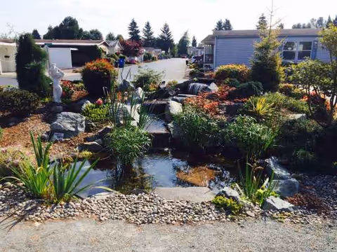A landscaped outdoor garden with a small water feature and rocks near a building.