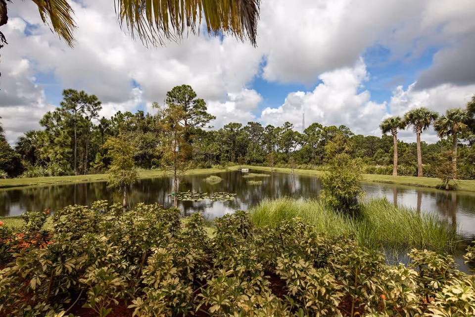 A scenic outdoor view of a pond surrounded by lush greenery, trees, and palm trees under a partly cloudy sky.