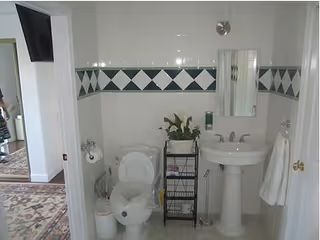 A small bathroom with a white toilet, a white pedestal sink, a rectangular mirror above the sink, a towel hanging on a ring, a black metal rack with a potted plant and some items, and a decorative tile border with a diamond pattern on the wall.