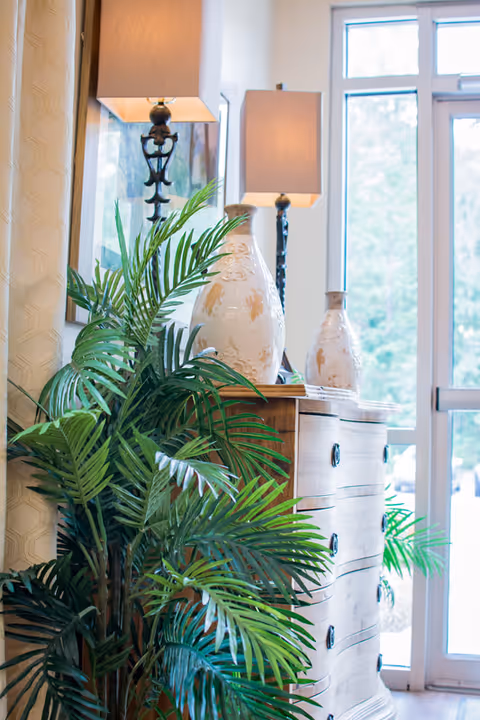 A bright interior corner featuring a wooden chest of drawers with decorative ceramic vases and two table lamps with beige shades. A large green leafy plant is placed beside the chest, and a glass door with windows lets in natural light in the background.