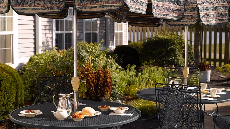 Outdoor patio area with two round black metal tables under large patterned umbrellas. The tables have bowls of food, a glass pitcher, a teapot, cups, and plates set on them. The background shows green bushes, plants, and a building with windows.