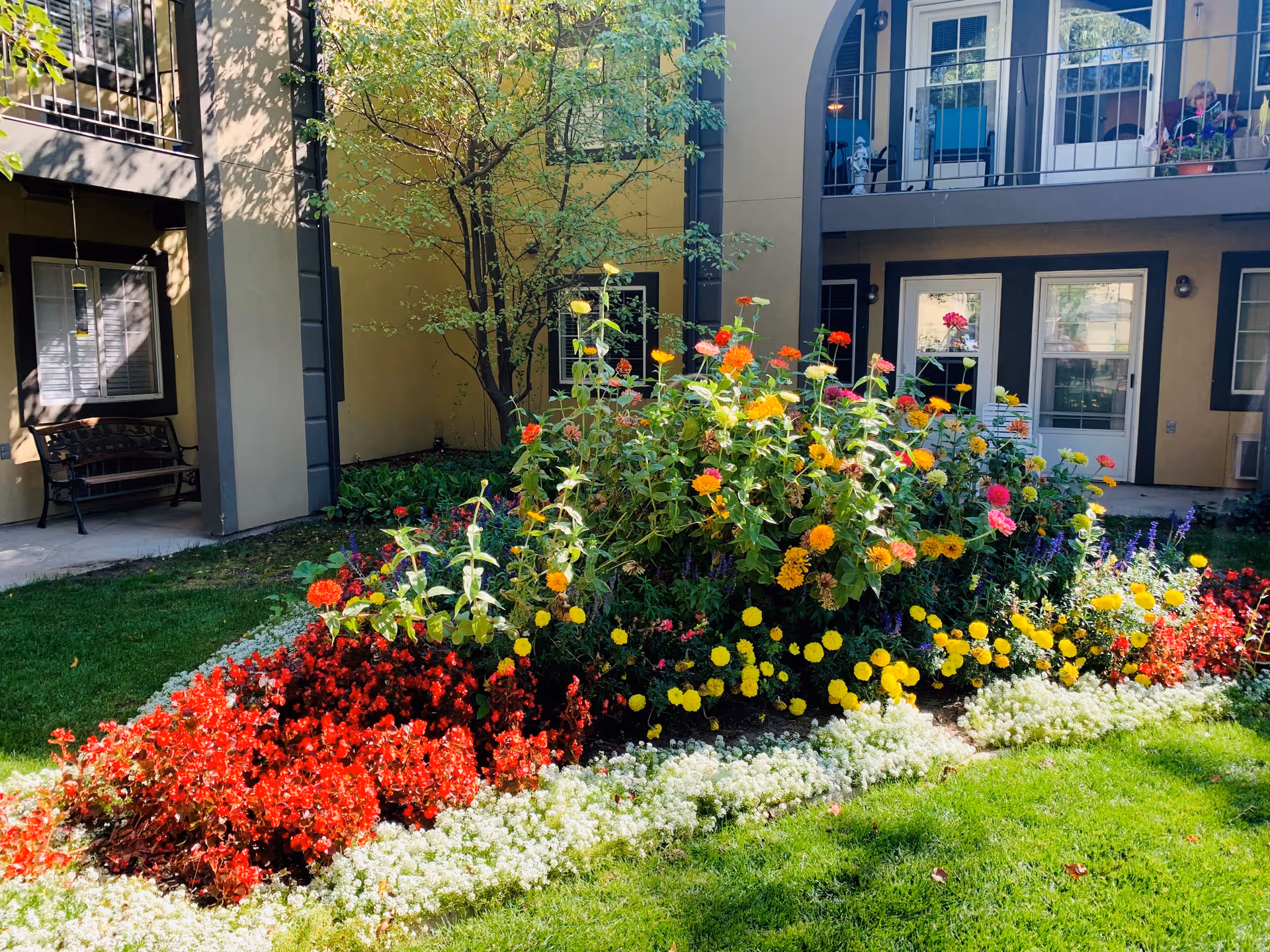 A vibrant flower bed with red, white, yellow, orange, and pink flowers in front of a two-story building with beige walls and black trim. There is a tree behind the flower bed, a bench on the left side under a covered walkway, and balconies with railings on the upper floor. A person is visible sitting on the balcony on the right side.