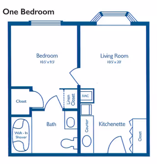 Floor plan of a one-bedroom apartment showing a bedroom, living room, kitchenette, bathroom with walk-in shower, linen closet, and additional closets.