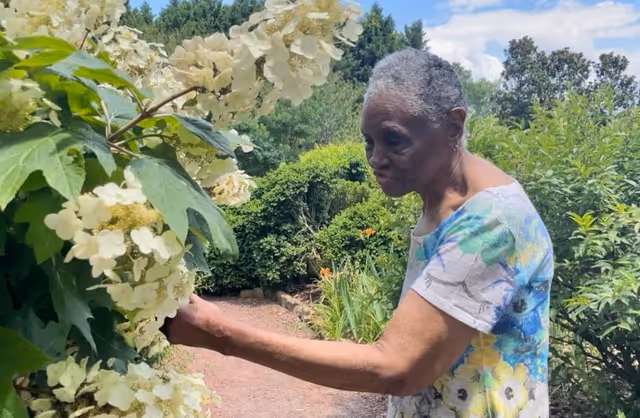 An elderly woman wearing a colorful floral shirt is gently touching white flowers on a bush in a lush garden with various green plants and trees under a partly cloudy sky.