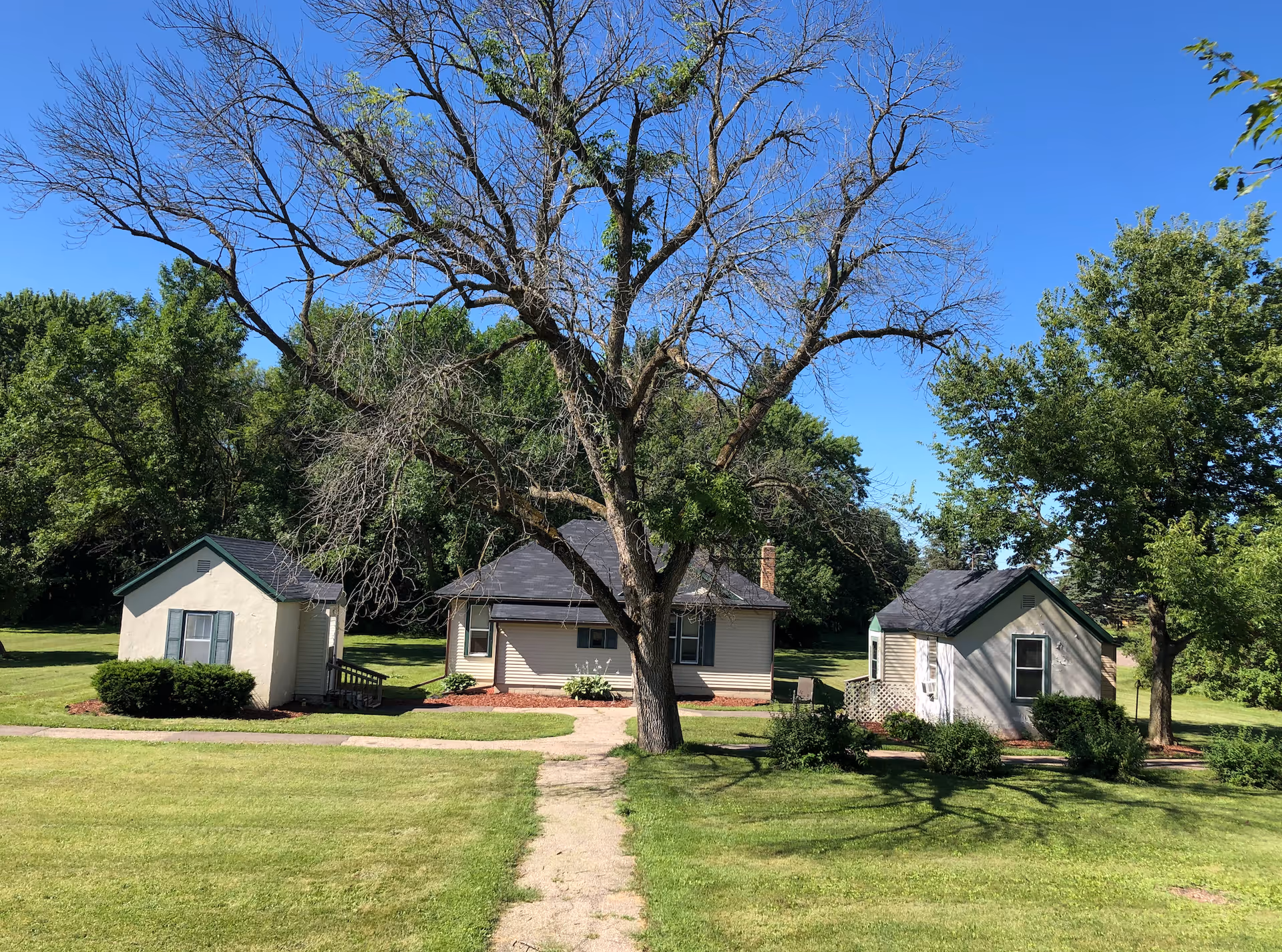 A grassy outdoor area with a large tree in the center and three small buildings with dark roofs and light-colored walls. The sky is clear and blue, and there are other trees in the background.