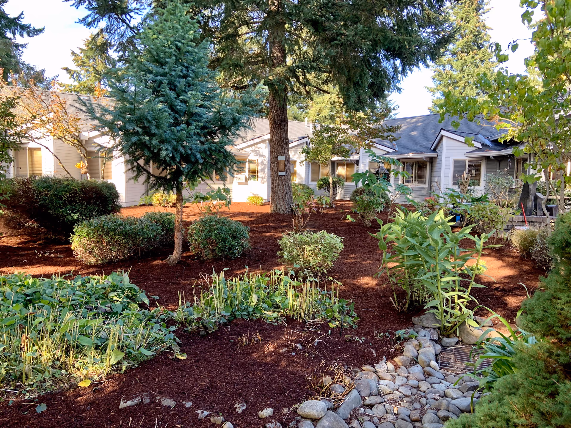 A landscaped garden area with various green shrubs, plants, and trees in front of a single-story building with light-colored siding and multiple windows. The garden has a mulched ground and a small rock-lined drainage area in the foreground. The scene is brightly lit by sunlight.