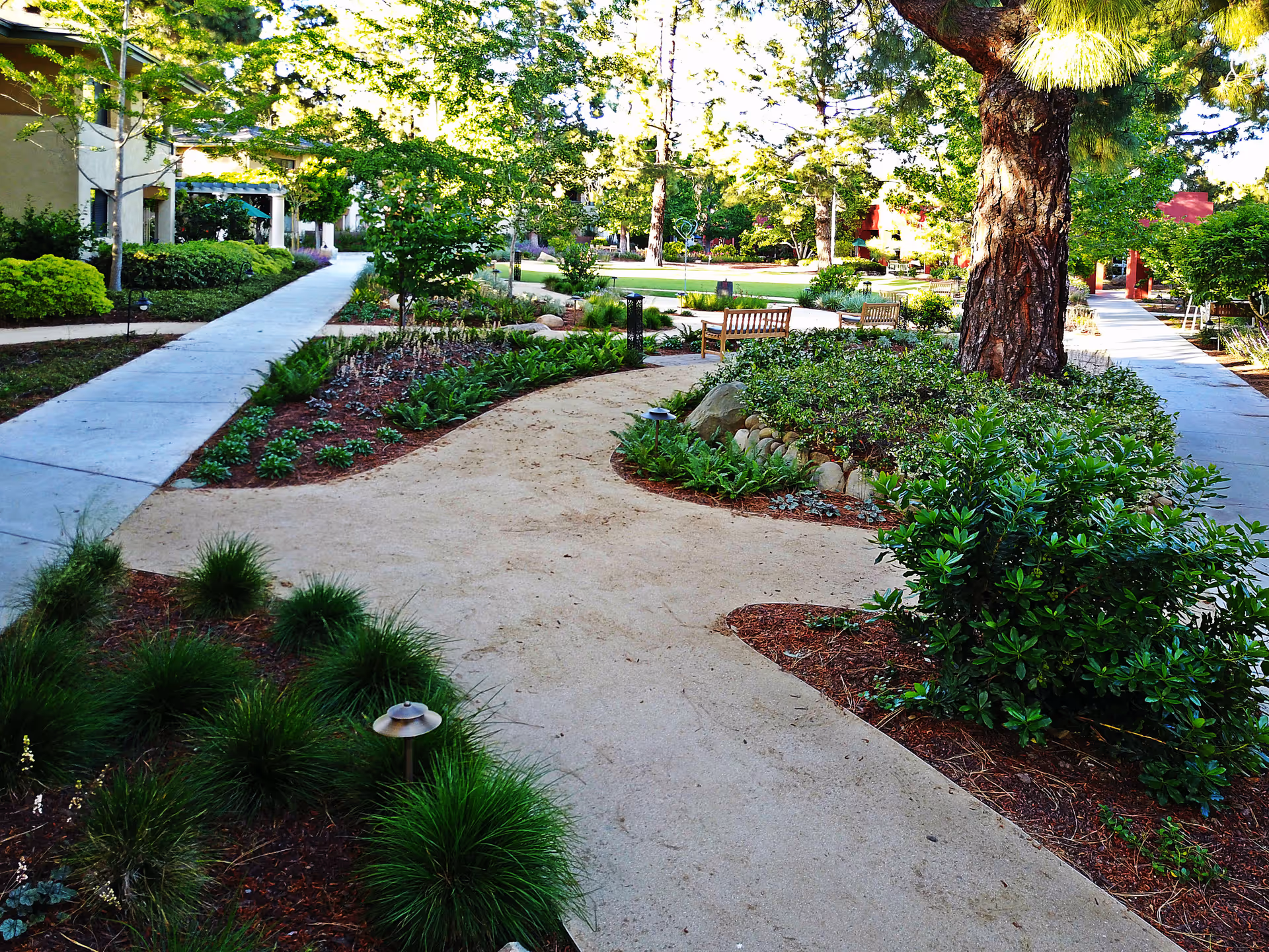 A landscaped outdoor garden area with a winding dirt path and concrete sidewalks surrounded by green shrubs, trees, and benches. The scene is bright and sunny, showing a peaceful and well-maintained environment.