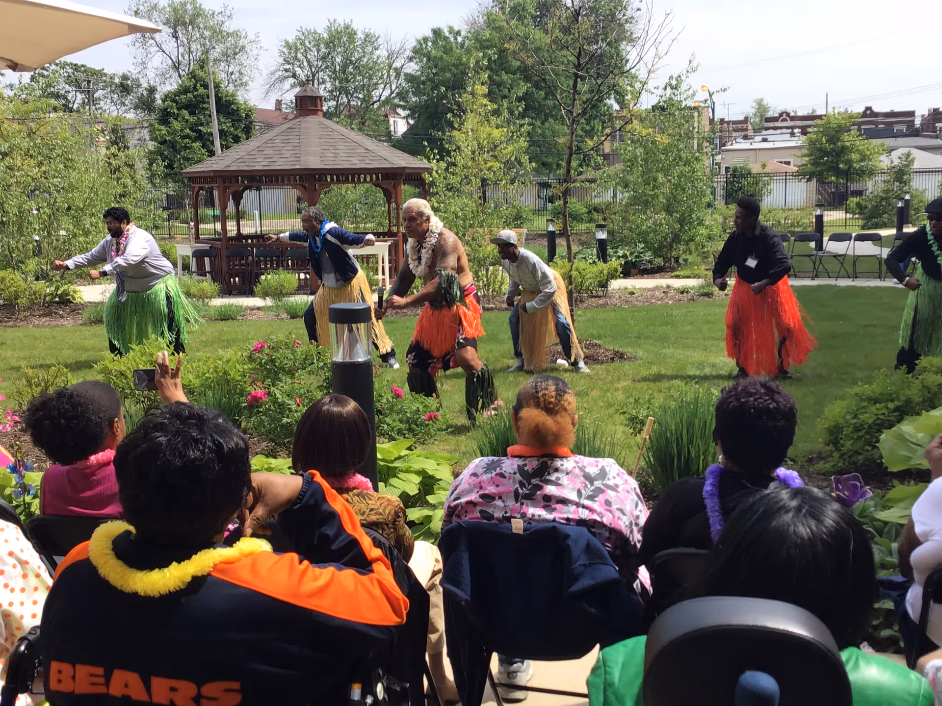 Seniors seated outdoors watch performers in grass skirts dancing on a lawn in front of a gazebo.