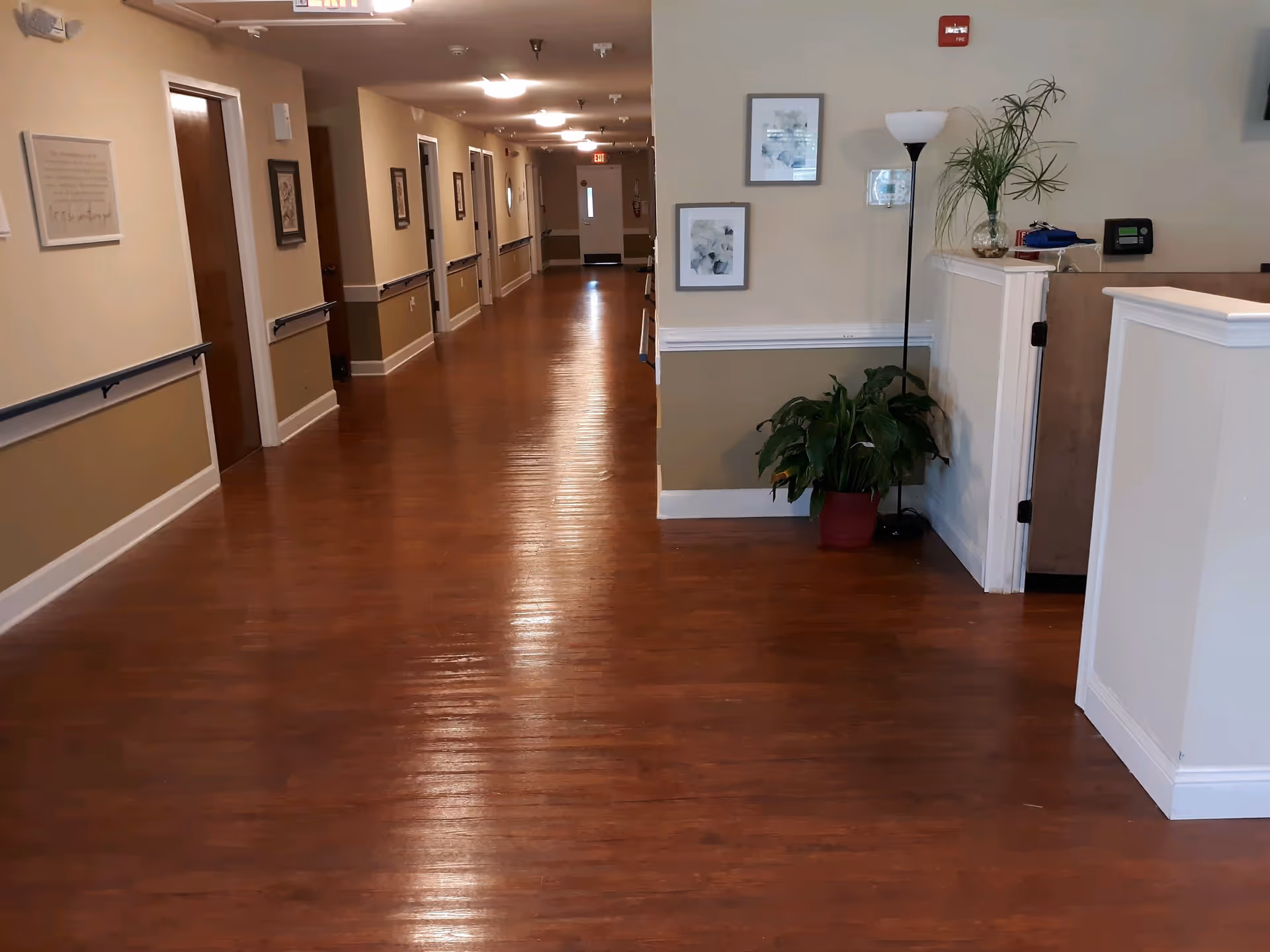 A long, clean hallway in an assisted living facility with wooden floors and beige walls. Several closed doors line the left side of the hallway, each with handrails beneath framed pictures. On the right side near the foreground, there is a small reception or desk area with a potted plant and a floor lamp beside it. Exit signs are visible at both ends of the hallway.