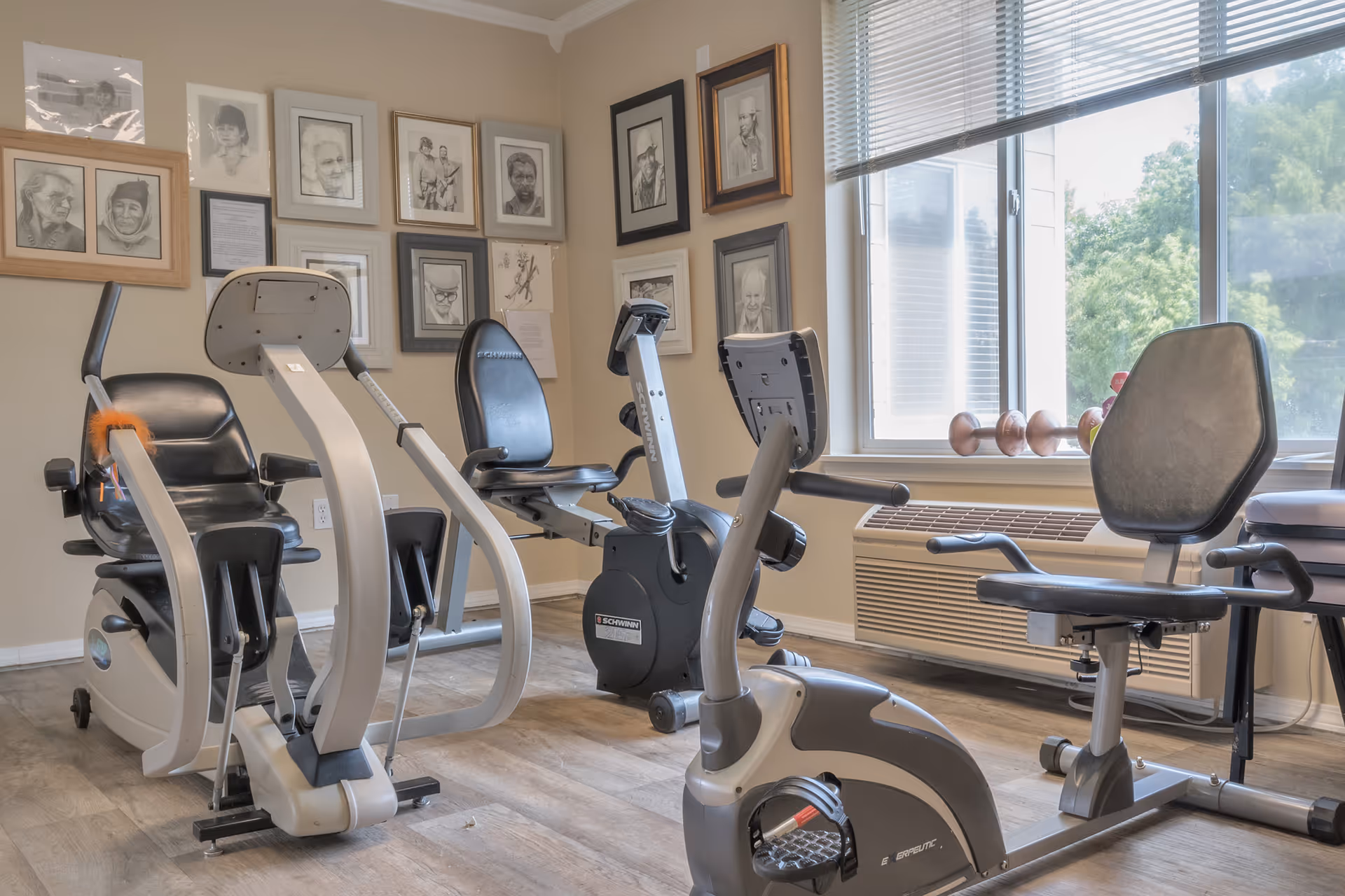 Small fitness room with several recumbent exercise bikes, framed portraits on the wall, and a large window letting in daylight.