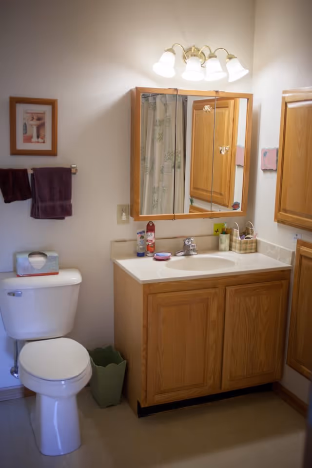 A bathroom with a white toilet, a wooden vanity with a sink, a mirror with wooden frame above the sink, a light fixture with five lamps above the mirror, a towel rack with two dark purple towels, a framed picture on the wall, and a green waste bin on the floor.