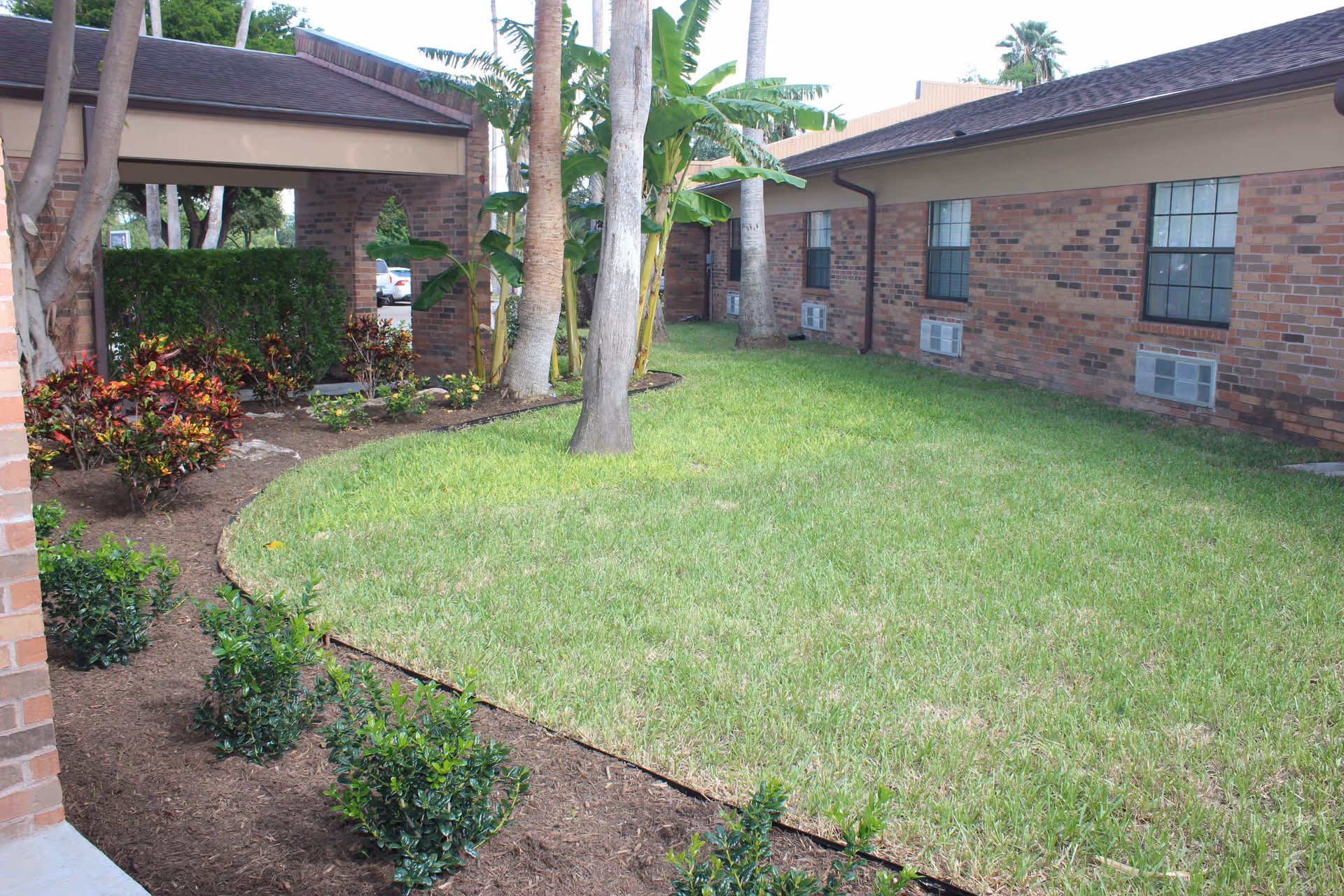 A grassy courtyard area surrounded by brick buildings with windows and air conditioning units. There are several palm trees and various plants and shrubs along the edges of the grass. A covered walkway is visible on the left side of the image.