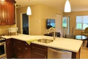 Interior view of a kitchen with a large island countertop featuring a built-in sink and faucet. The kitchen has dark wooden cabinets, a dishwasher, and pendant lights hanging above the island. In the background, there is a living area with a TV mounted on the wall and windows letting in natural light.