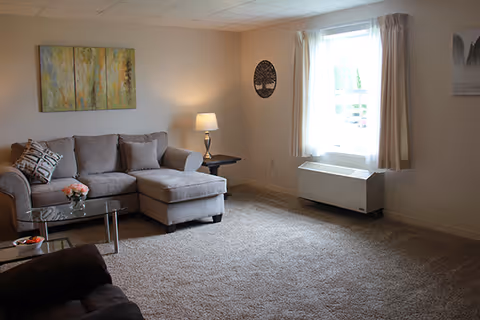 A cozy living room with a gray sectional sofa adorned with patterned pillows, a glass coffee table with a small flower arrangement, a side table with a lamp, a window with beige curtains, and a carpeted floor. The walls are light-colored with a tree-themed wall decoration and a three-panel abstract painting.
