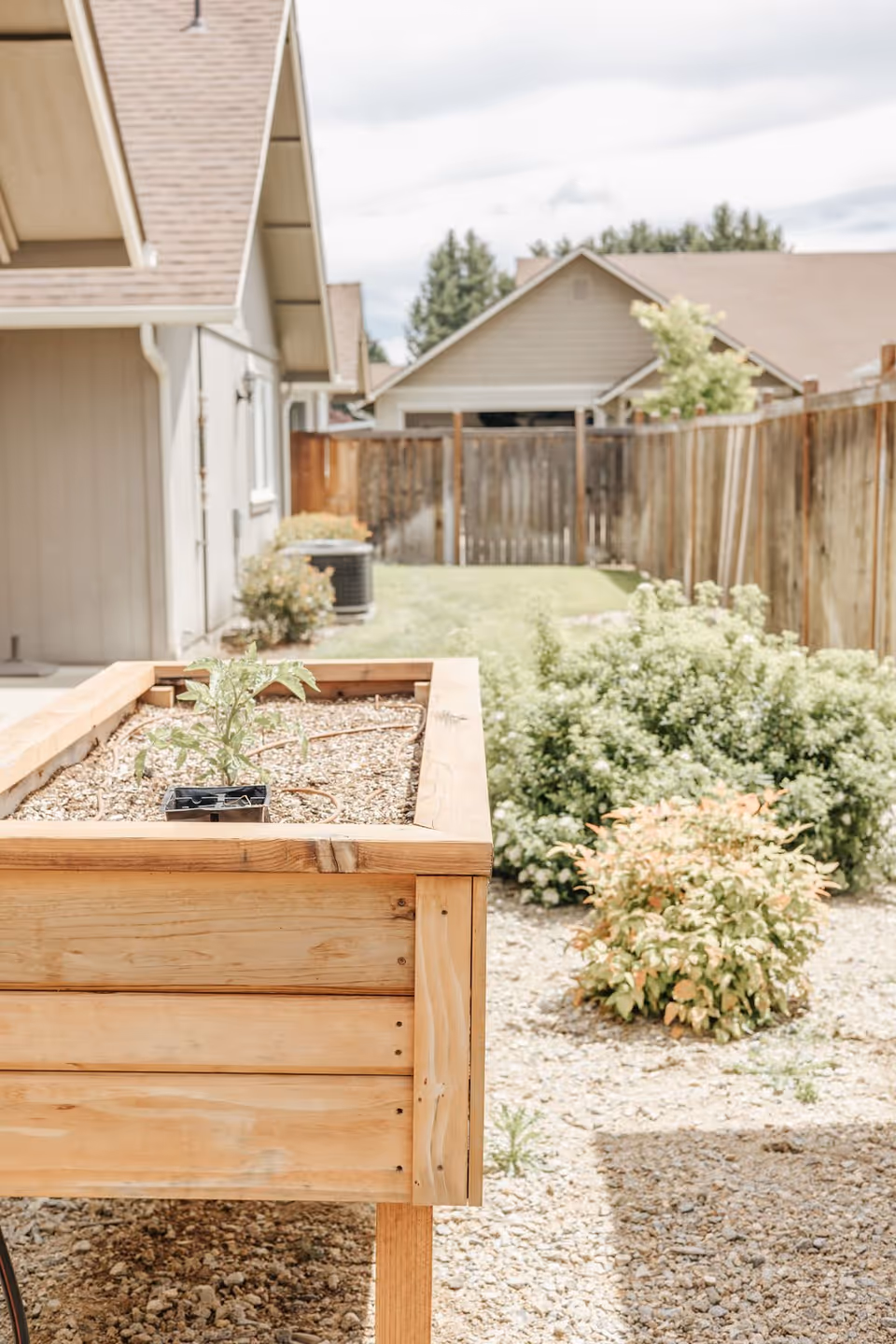 A raised wooden garden bed with a small plant growing in it, situated in a backyard with gravel ground cover, bushes, and a wooden fence. Houses with beige siding and brown roofs are visible in the background under a partly cloudy sky.