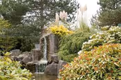 Tranquil outdoor garden with a waterfall, rocks, and vibrant shrubs around a pond.