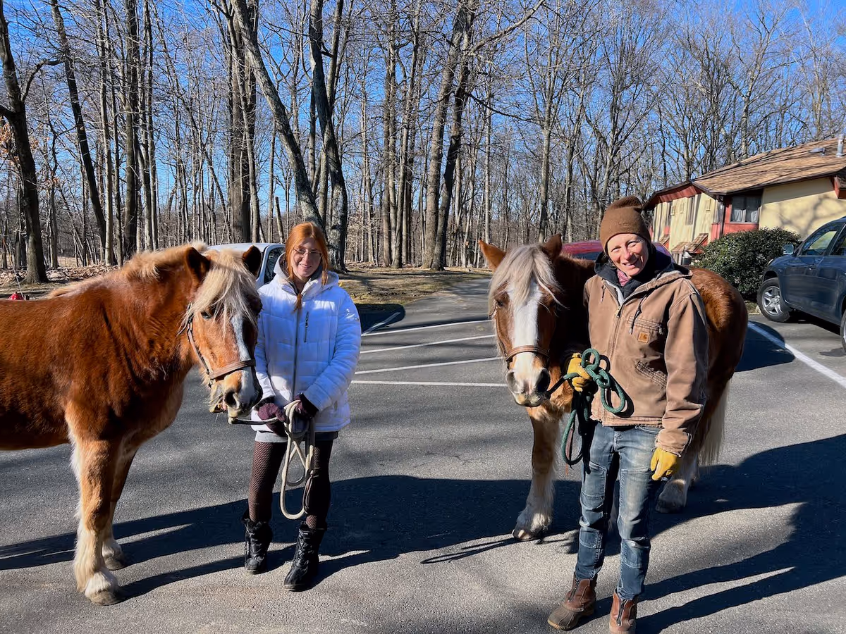 Two people standing outside on a paved area holding the reins of two brown horses with white manes. The background shows leafless trees, a building, and parked cars under a clear blue sky.