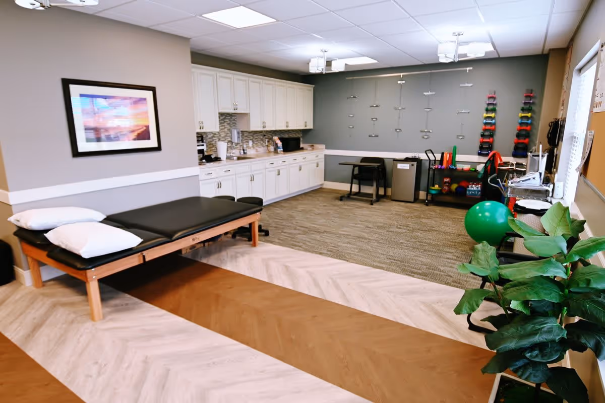 A therapy or exercise room with a black padded treatment table with two white pillows, white cabinets along the back wall, a wall-mounted rack with various colorful dumbbells, exercise balls, and other fitness equipment. The room has a mix of wood and carpet flooring, a framed picture on the wall, and a large green plant near the window.
