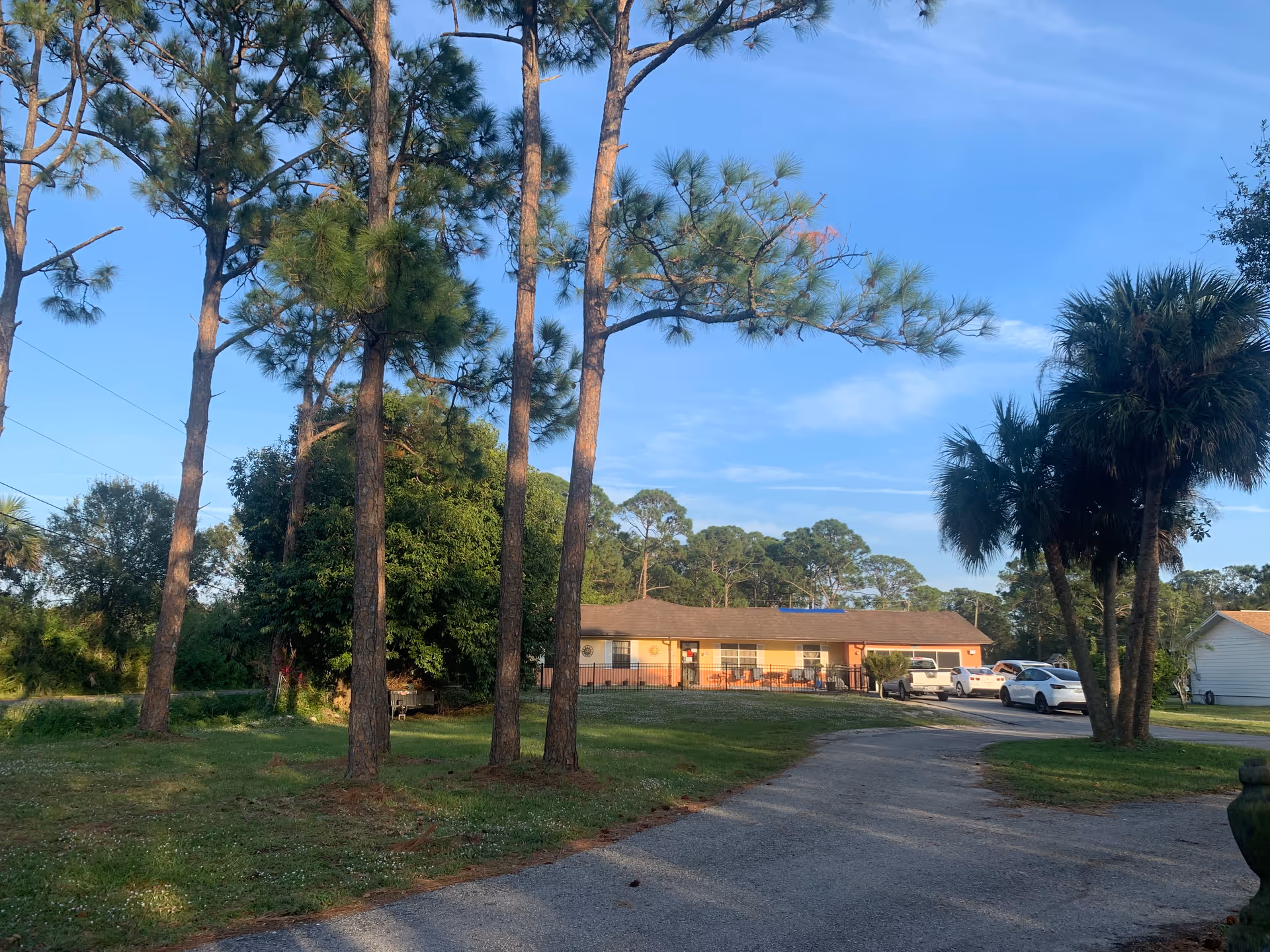 A single-story building with a brown roof and light-colored walls, surrounded by tall pine trees and palm trees under a clear blue sky. Several cars are parked near the building, and a paved driveway curves in front of it.