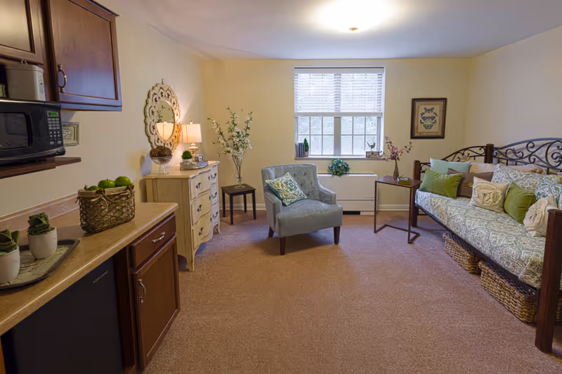A cozy living area with a patterned daybed adorned with multiple pillows, a light blue armchair with a decorative pillow, a small side table with a plant, a chest of drawers with a lamp and mirror above it, and a kitchenette area with a microwave and countertop. A window with blinds lets in natural light.