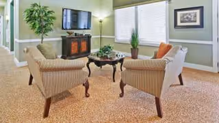 A cozy living room with two striped armchairs and a white armchair arranged around a dark wooden coffee table with a plant centerpiece. A flat-screen TV is mounted on a wooden cabinet against a green wall, with a tall floor lamp and a large potted plant nearby. The room has beige carpet, a large window with blinds, and framed artwork on the walls.