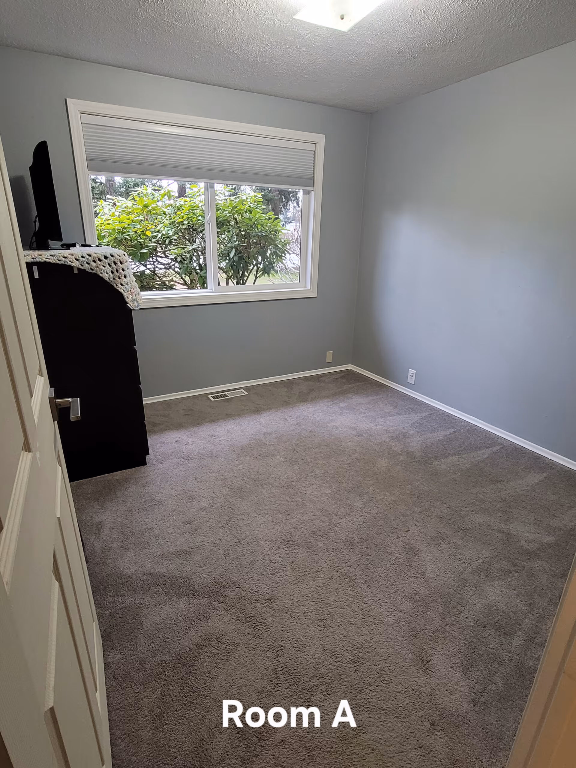 Empty carpeted bedroom with light gray walls, a window with shrubs outside, and a small dresser by the window.