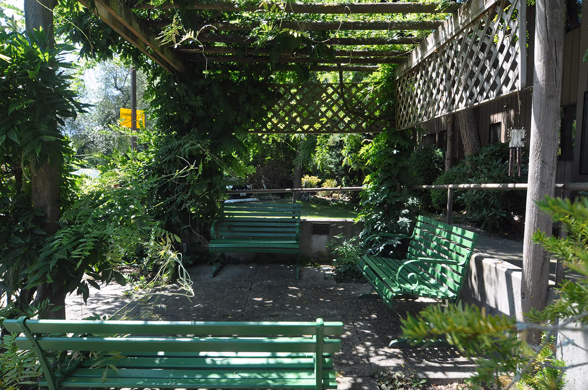 Outdoor seating area with green benches under a wooden pergola covered in leafy vines, surrounded by lush greenery and plants.