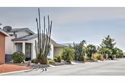 Single-story senior living units with desert landscaping and tall cacti lining a quiet street.