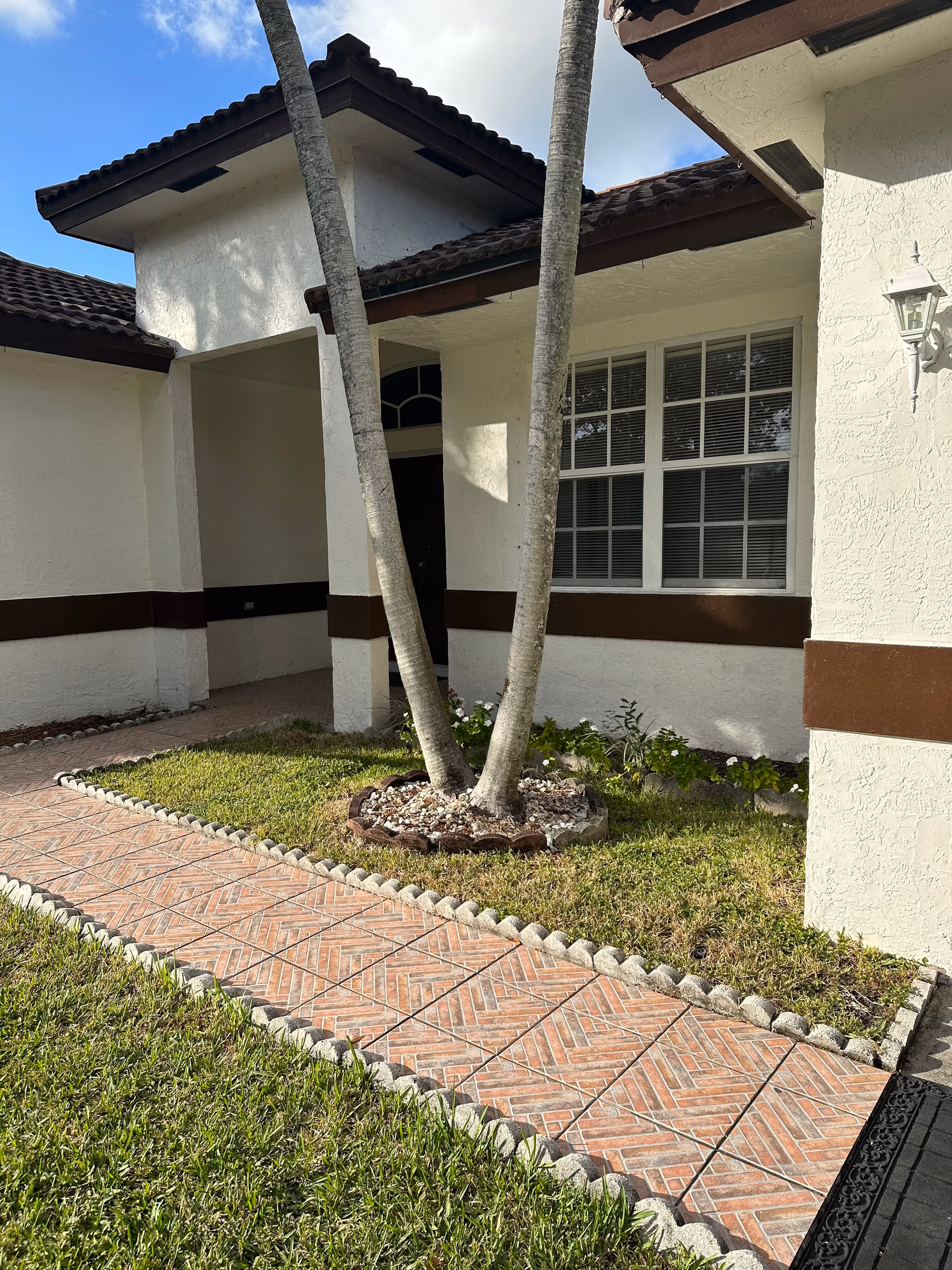 Exterior view of a building entrance with a tiled walkway bordered by grass. Two tall palm trees are planted in a small circular garden bed near the entrance. The building has white walls with brown trim and a window with blinds visible.