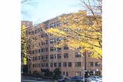 Exterior view of a multi-story brick building with numerous windows, surrounded by trees with yellow leaves and parked cars along the street in front.