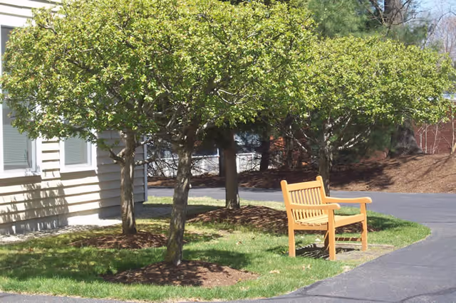 Outdoor scene showing a wooden bench placed on a grassy area next to a paved pathway. There are small trees with green leaves providing partial shade, and the side of a building with windows is visible on the left.