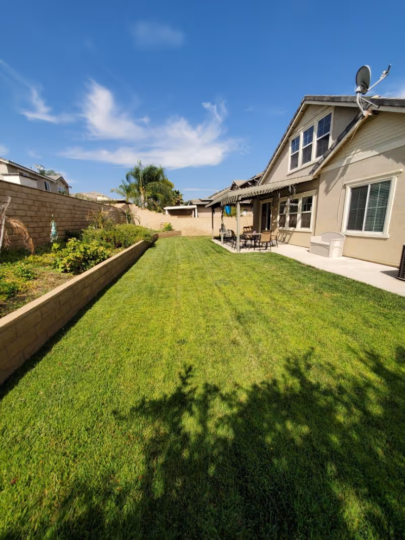 A sunny backyard with a well-maintained green lawn, a raised garden bed with plants along the left side, and a beige two-story house with multiple windows and a patio area with outdoor furniture on the right. The sky is clear with a few wispy clouds.