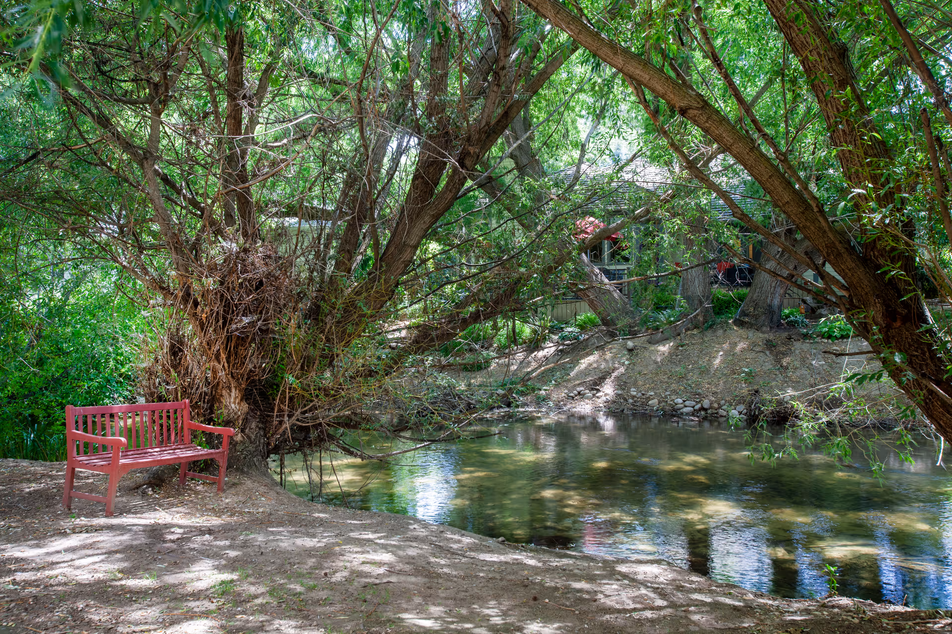 Photo 12 of Brookdale Boise Parkcenter