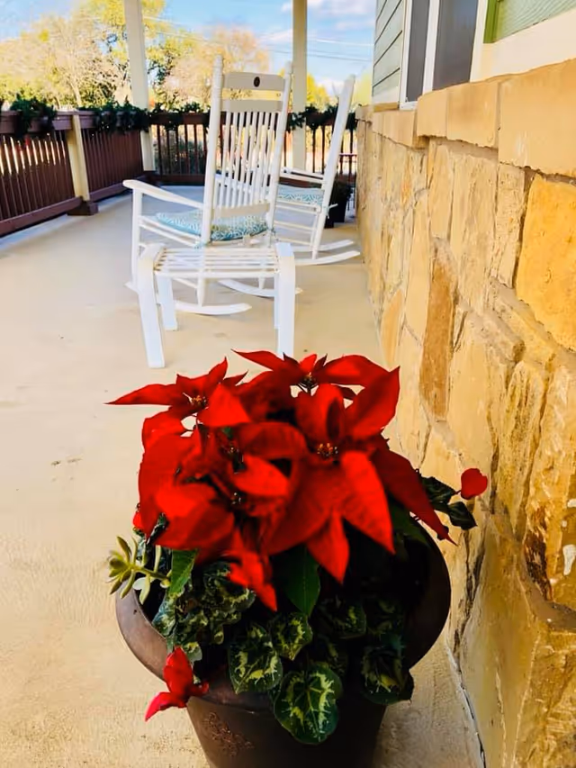 A porch area with two white rocking chairs with cushions, a stone wall on the right, and a large pot of vibrant red poinsettia flowers in the foreground. The porch has a wooden railing and trees are visible in the background under a blue sky.