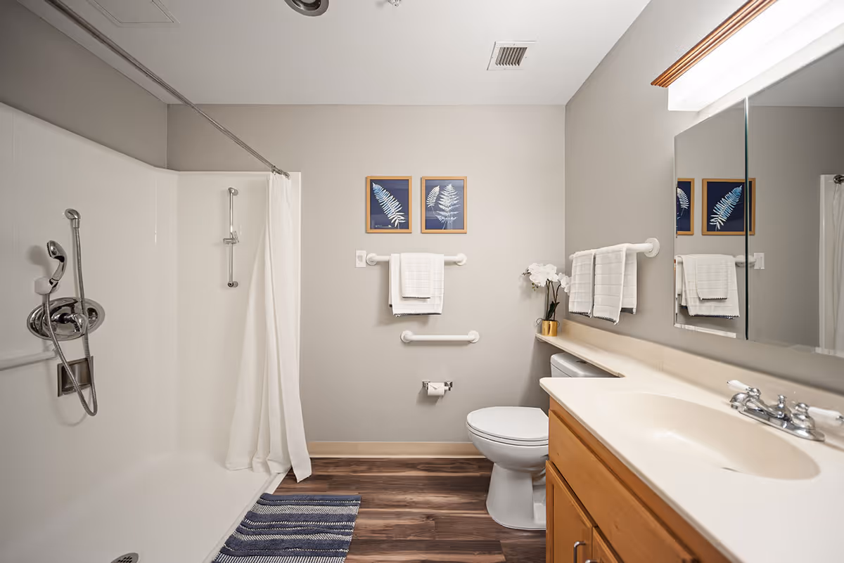 A clean and modern bathroom featuring a bathtub with a white shower curtain, a toilet, a wooden vanity with a sink, and a large mirror above the sink. The walls are painted light gray and decorated with two framed botanical prints. There are white towels hanging on grab bars and a small plant on the vanity. The floor has wood-like flooring and a blue striped rug in front of the tub.
