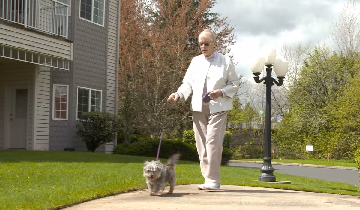 An elderly woman wearing sunglasses and a light-colored jacket walks a small dog on a leash along a sidewalk outside a residential building with green grass and trees in the background.