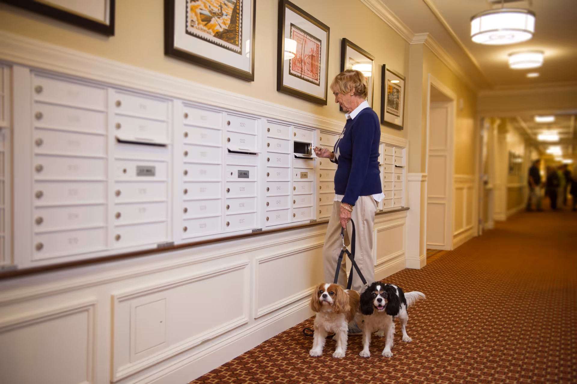 An elderly woman with two small dogs on leashes is standing in a hallway, retrieving mail from a row of white mailboxes mounted on the wall. The hallway has warm lighting, patterned carpet, and framed artwork above the mailboxes.